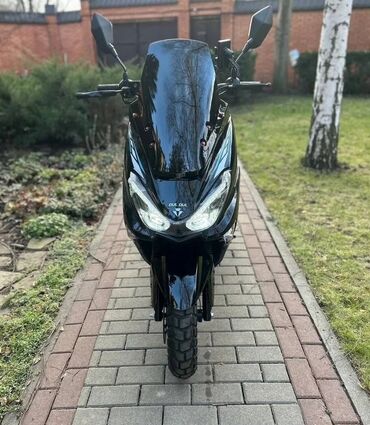 полипропиленовая фибра: Скутер түрү Suzuki, 150 куб. см, Бензин, Жаңы, Бөлүп төлөө менен