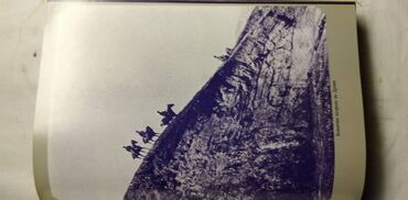 Knjige i stripovi: Knjiga:Dnevnik pobeda 3431 str. 1990, 25 cm. Knjiga:Golgota i Vasrks — 7