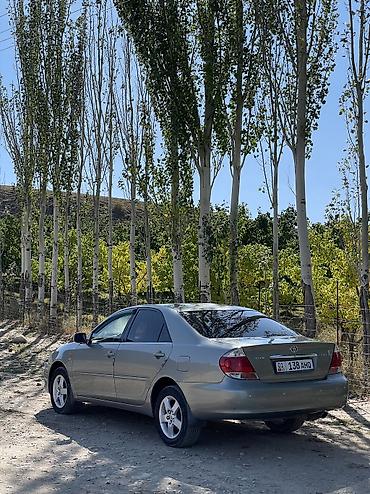 Toyota: Toyota Camry: 2005 г., 2.4 л, Автомат, Бензин, Седан — 5