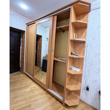 стенки для зала: Шкаф в прихожей