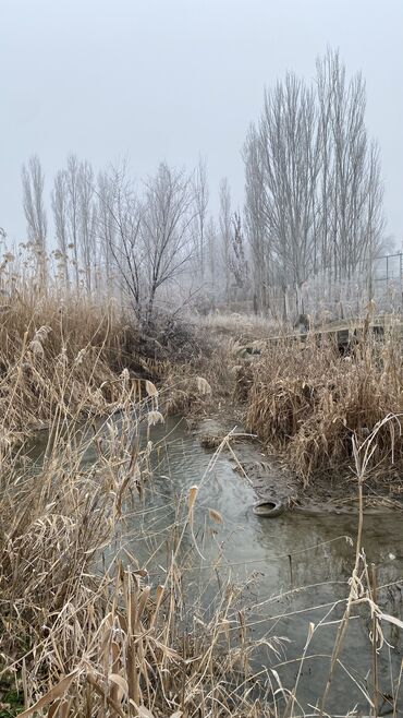 Продажа домов: Дом, 80 м², 3 комнаты, Агентство недвижимости — 12