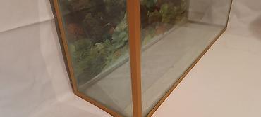 akvarumlar: Akvarium 12 lik şüşə ilə hazırlanıb.Uzunluq:110sm.Eni: 32sm.Hündürlük — 2