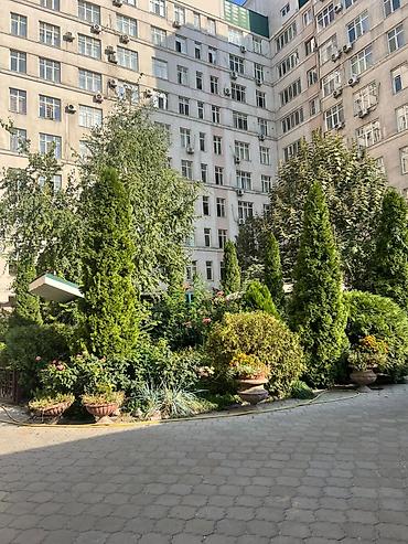 Долгосрочная аренда квартир: 🏡 Сдаётся просторная 3-комнатная квартира в Бишкеке — ул. Шевченко, 96 — 20