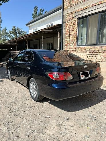 таота виндом: Toyota Windom: 2003 г., 3 л, Автомат, Бензин, Седан — 6