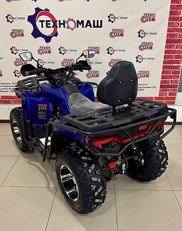 Квадроциклы: Квадроцикл Бензин, 320 куб. см, Взрослый — 12