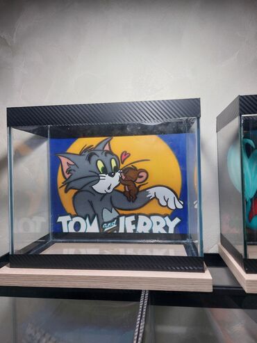 Akvariumlar: Şüşə akvarium – dekorativ fonlu modellər ölçü 30×25×15 Məhsul təsviri — 7