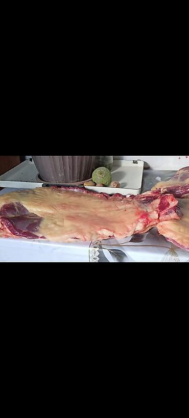 рамка а4 цена бишкек: Семиз байламбастар союп чучугун жазап тойлорго Куран окутууга Ат — 3