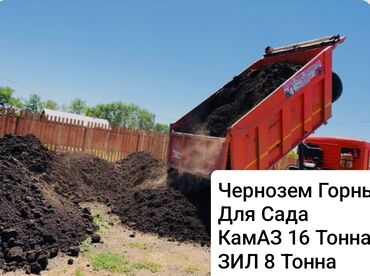 ростки цветов: Тонна менен, Камаз