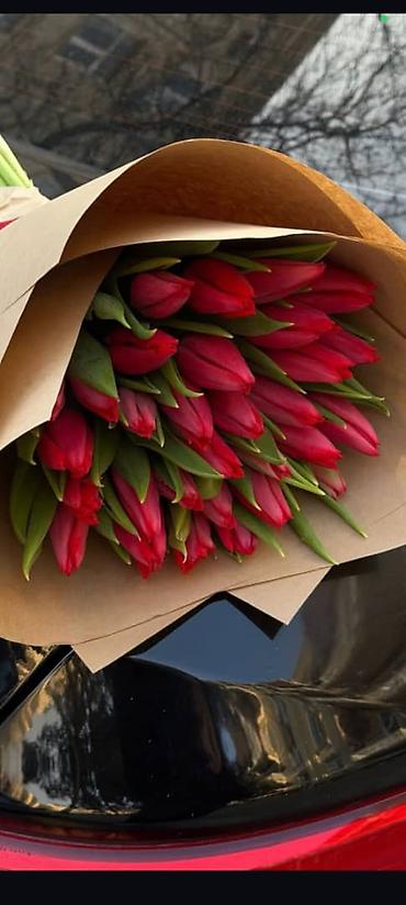 Букеты из живых цветов: Тюльпаны с собственной теплицы - Срезанные свежие тюльпаны прямого at lalafo.kg — 2 Букеты из живых цветов: Тюльпаны с собственной теплицы - Срезанные свежие тюльпаны прямого — 2