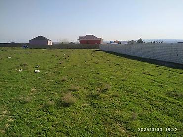 absheron: 26 sot, Mülkiyyətçi, Kupça (Çıxarış) — 3