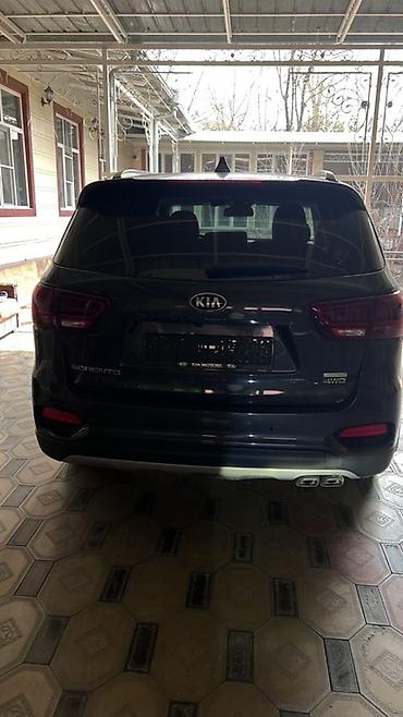 Kia: Kia Sorento: 2019 г., 2.2 л, Автомат, Дизель, Кроссовер — 14