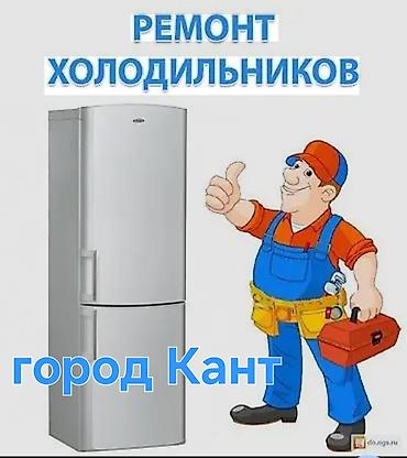 холодильник samsung rl: Ремонт холодильников — город Кант. - Диагностика и устранение любых — 1
