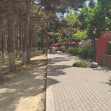 İcarəyə restoran və kafelər: Obyekt icareye verilir Xirdalan seheri Heyder Əliyev prospektinde — 2
