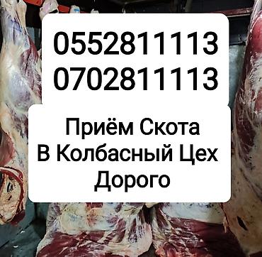 Животные: Колбасный цех, Частное лицо : Бараны, овцы, Коровы, быки, Лошади, кони, | Любое состояние, Забитый, Круглосуточно — 2