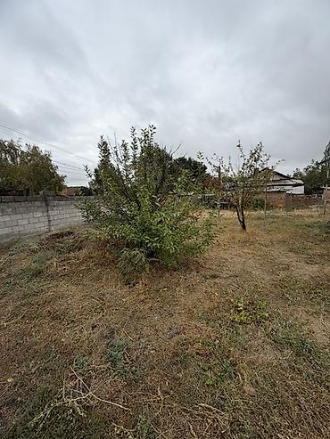 Үйлөрдү сатуу: 📍 В Шопокове продается дом на участке 18 соток, 60 кв.м. 🏡Дом с — 4