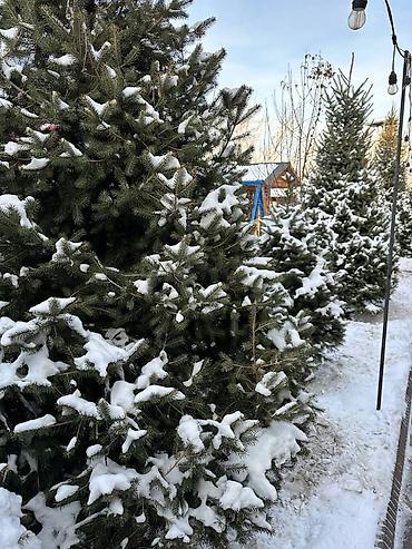 Посуточная аренда комнат: • Люксовые номера с панорамным видом на горы прямо из окна • — 9