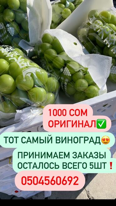 скамейки ош: Отургуч