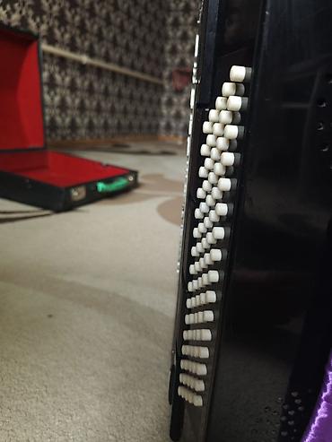 Аккордеоны: Аккордеон Weltmeister (Германия), классическая черно-белая модель — 9