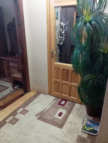 Köhnə tikili: Sumqayıt, 2 otaqlı, Köhnə tikili, 56 kv. m -da lalafo.az — 8 Köhnə tikili: Sumqayıt, 2 otaqlı, Köhnə tikili, 56 kv. m — 8