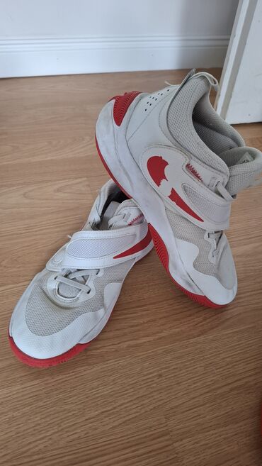 Čizme: Čizme, Massimo Dutti, 40 — 20