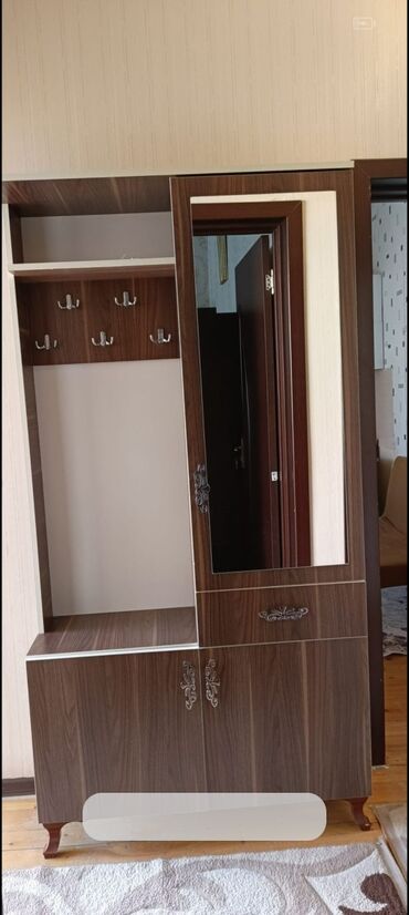шкаф секретер: İşlənmiş, Düz dolab, Dəhliz dolabı