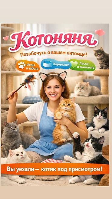 🐾 Передержка с заботой, как дома 🐾 (Котоняня, котогостиница