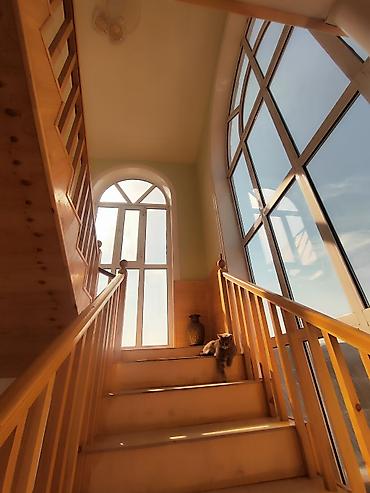 Продажа коттеджей и домов: Сдается на длительный срок в г. Джалал -Абад, ( Манас),Просторный — 8