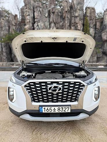 Hyundai: Hyundai Palisade: 2019 г., Автомат, Кроссовер — 21