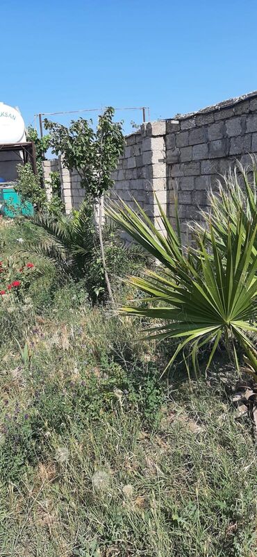 Həyət evləri və villaların satışı: Dübəndi 3 otaqlı, 110 kv. m, Kredit yoxdur, Orta təmir -da lalafo.az — 14 Həyət evləri və villaların satışı: Dübəndi 3 otaqlı, 110 kv. m, Kredit yoxdur, Orta təmir — 14