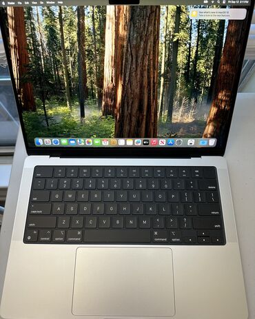 Ноутбуктар: Ультрабук, Apple, 8 ГБ ОЭТ, Apple M3, 14.3 ", Колдонулган, Татаал эмес тапшырмалар үчүн, эс тутум SSD