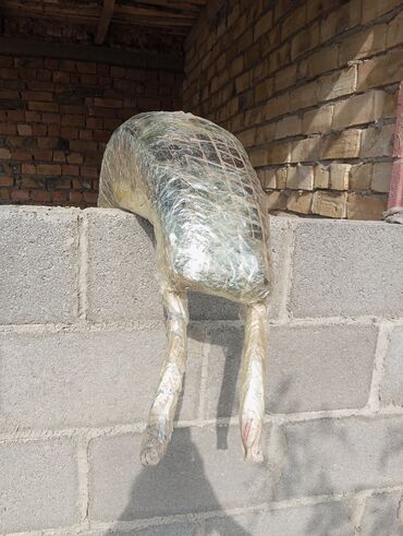 письменный стол на кыргызском: Каркастар жасоо Материалы: Металл lalafo.kg да письменный стол на кыргызском: Каркастар жасоо Материалы: Металл