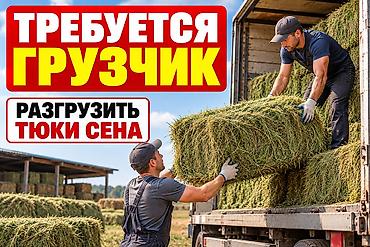 Грузчик at lalafo.kg Грузчик