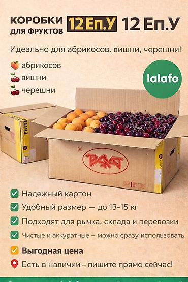 Ящики: Ящик — 1