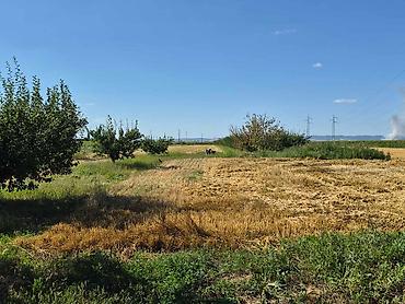 rent: Na prodaju salaš – Rumski drum 69a, Sremska Mitrovica Na prodaju — 7