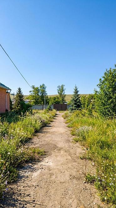 Продажа коттеджей и домов: 🏔 ПРОДАЁТСЯ УЧАСТОК В С. ГОРНАЯ МАЕВКА 📐 Площадь по документам — 13,5 — 7