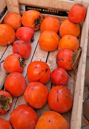 Meyvə və giləmeyvə: Məhsul: Öz bağımızdan Xurma . Ağdaş Xurması. Qiyməti - 0.70. Çox — 4