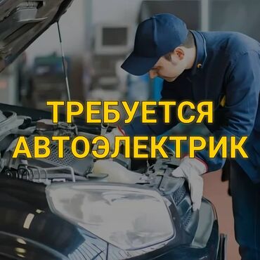 требуется ученик автоэлектрик: Требуется Автоэлектрик, Оплата Ежедневно, Процент от дохода, 1-2 года опыта