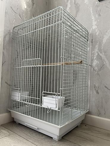 Qəfəs böyük ölçüdə Korella Kakadu Jako Kakapu Valnisi Ajerella Təzədir lalafo.az -da Qəfəs böyük ölçüdə Korella Kakadu Jako Kakapu Valnisi Ajerella Təzədir