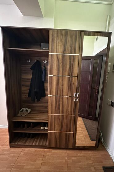 plasmas qapi: İşlənmiş, Kupe, 2 qapılı Düz dolab, Dəhliz dolabı