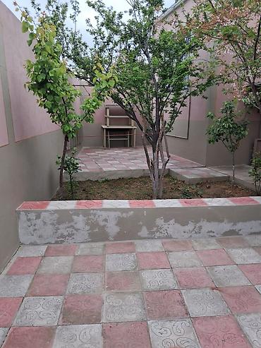 divar daşlari: 1.5 torpaq,5 das kursulu,qosa das,padval quru,evin,torpagin kupcasi — 4