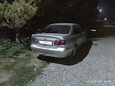 форд экскорд: Nissan Primera: 2026 г., Седан — 6