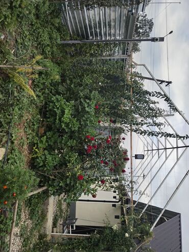 Həyət evləri və villaların satışı: 1 otaqlı, 36 kv. m, Yeni təmirli — 36