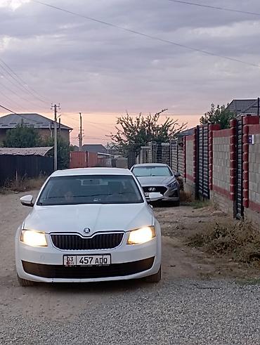 e34 4 4: Skoda Octavia: 2016 г., 1.6 л, Автомат, Бензин, Лифтбек — 8