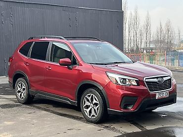 Subaru: Subaru Forester: 2019 г., 2.5 л, Вариатор, Бензин, Кроссовер — 3
