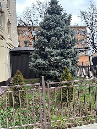 Продажа квартир: 2 комнаты, 55 м², Элитка, 2 этаж, Евроремонт — 11