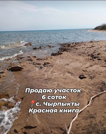 продаю участок новопакровка: 6 соток, Бизнес үчүн, Кызыл китеп, Сатып алуу-сатуу келишими