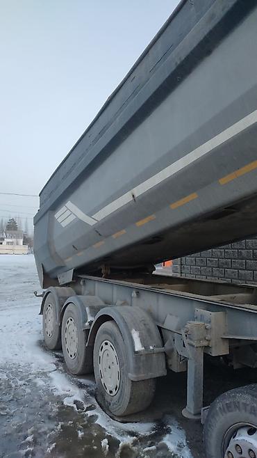 Прицепы и полуприцепы: Прицеп, Самосвал, от 12 т, Б/у — 5