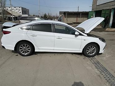 e60 m5: Hyundai Sonata: 2020 г., 2 л, Автомат, Бензин, Седан — 1