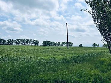 Torpaq sahələrinin satışı: Kənd təsərrüfatı, Kupça (Çıxarış) — 3