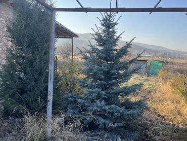 Продажа участков: 5 соток, Для сельского хозяйства, Красная книга, Тех паспорт, Договор купли-продажи — 5